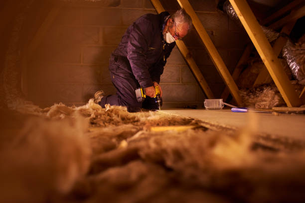 Professional Insulation Contractor in Muskegon Heights, MI